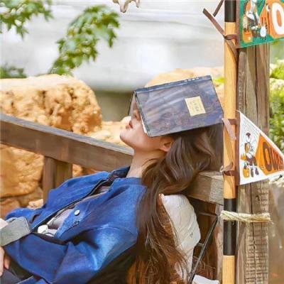 天下有情之天涯路国语